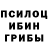 Галлюциногенные грибы Psilocybe Zava Egor