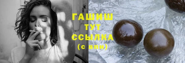 гашик Богданович