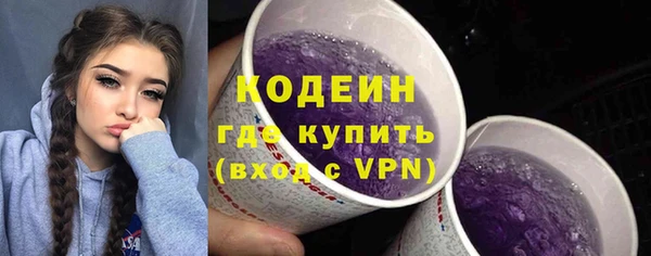 гашик Богданович