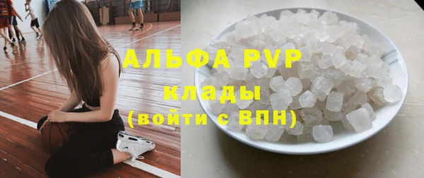 гашик Богданович
