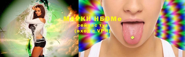 гашик Богданович