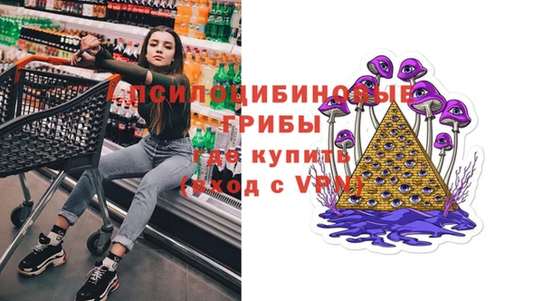 гашик Богданович