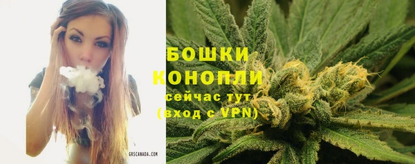 марки lsd Богородицк