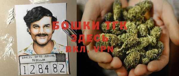 гашик Богданович